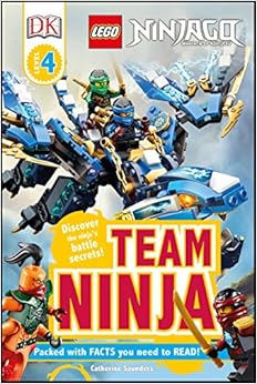 Team ninja /